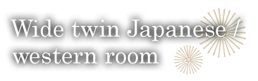 Wide twin Japanese / western room