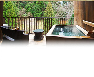 Japanese style twin room with open air bath